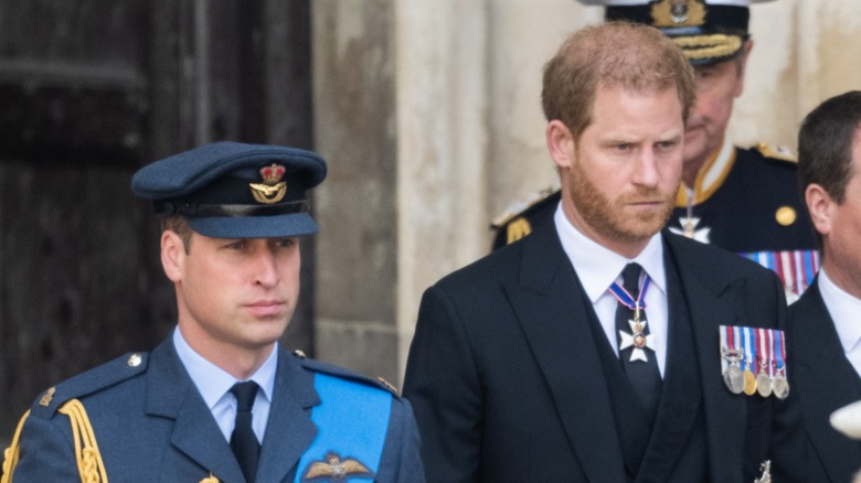 Princes William and Harry frowning