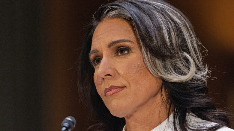 Tulsi Gabbard listening intently from behind a microphone