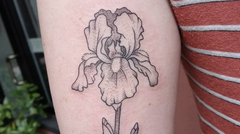 Tattoos  House Of Iris