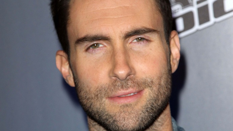 Adam Levine on the red carpet 