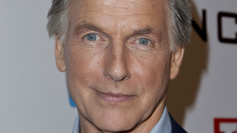 Mark Harmon Plays Leroy Jethrow Gibbs in NCIS