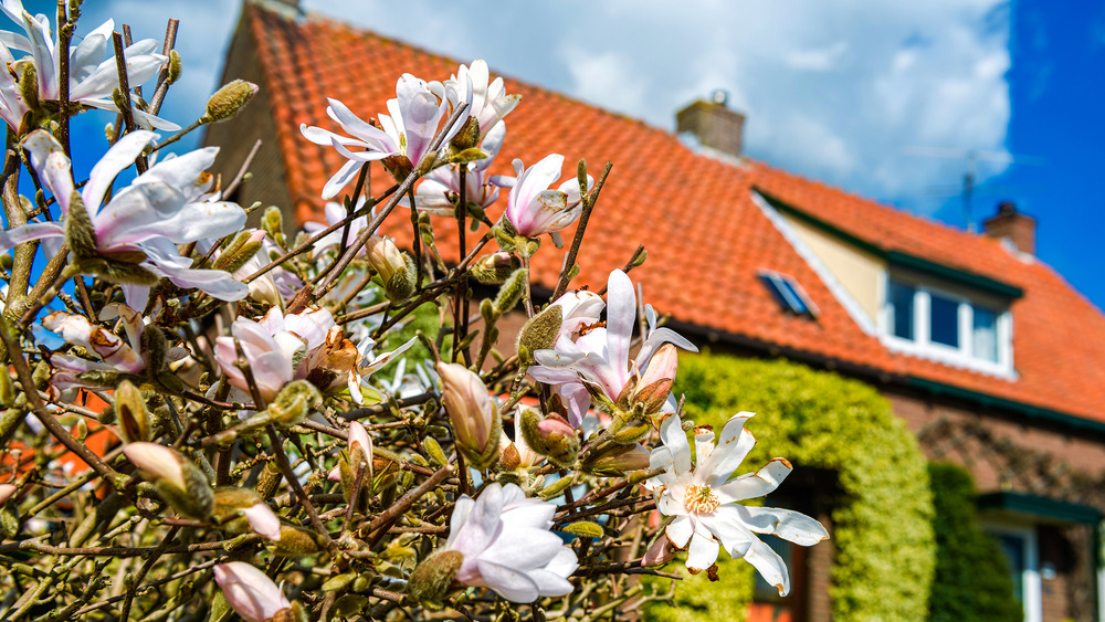 cottage with flowers