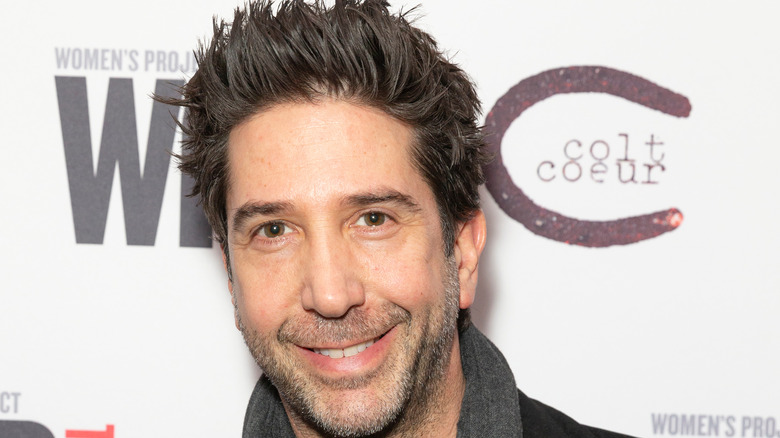 David Schwimmer