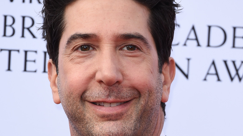 David Schwimmer smiling 