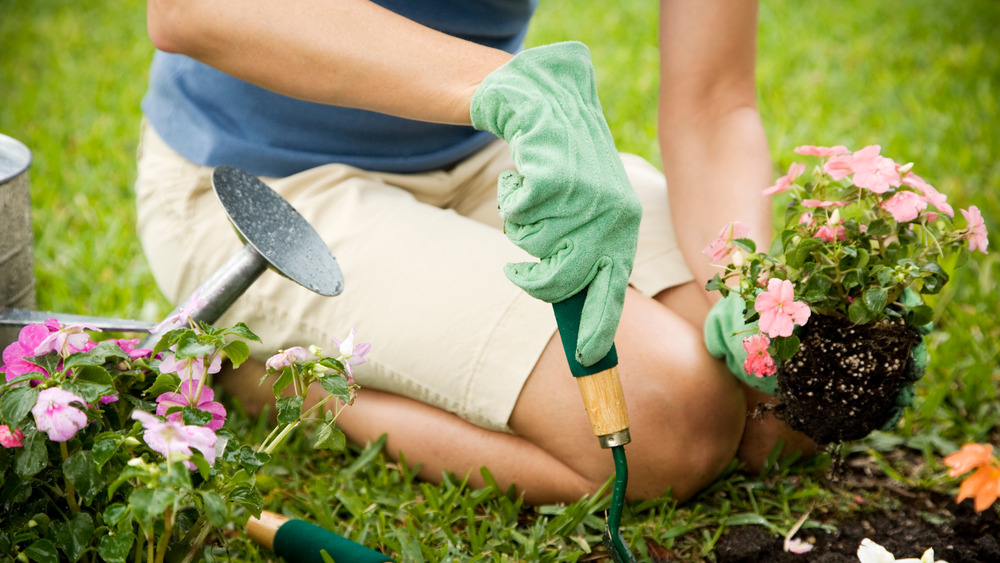 Woman gardening