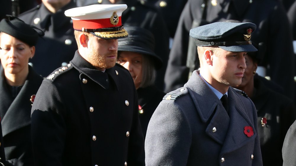 Prince Harry and Prince William