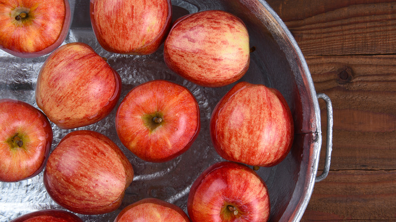 bucket of apples in water