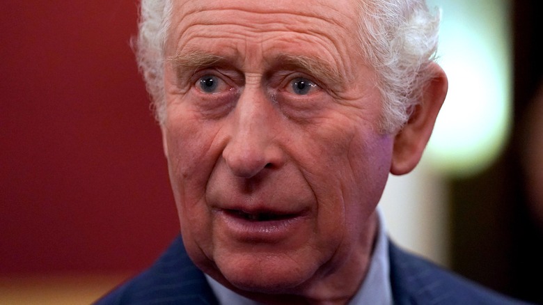 A close-up of Prince Charles