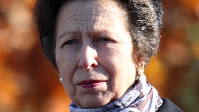 Princess Anne posing