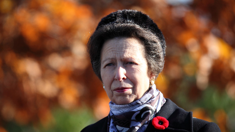 Princess Anne posing