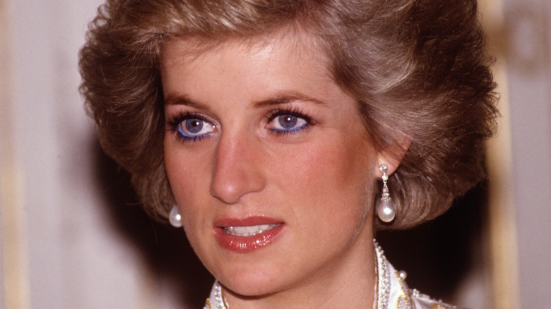 Princess Diana attends the Royal Tour of France in 1988