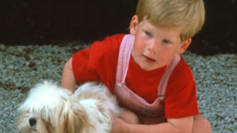 A young Prince Harry
