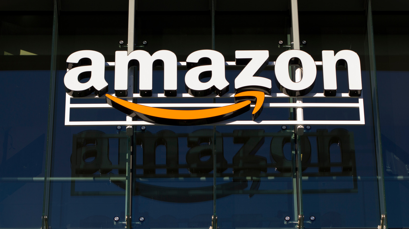 The Real Reason The Federal Government Is Suing Amazon