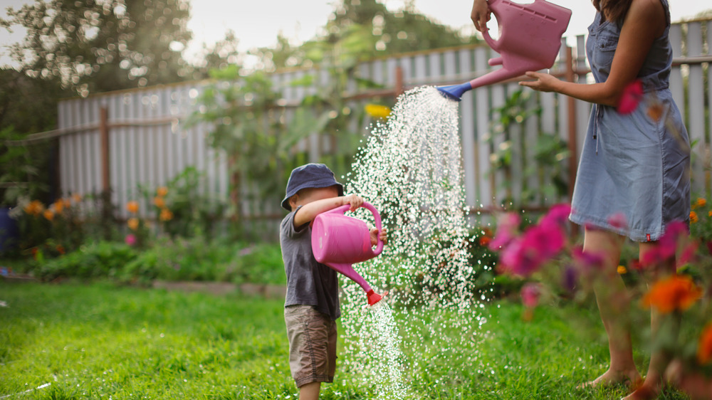 Water from watering can