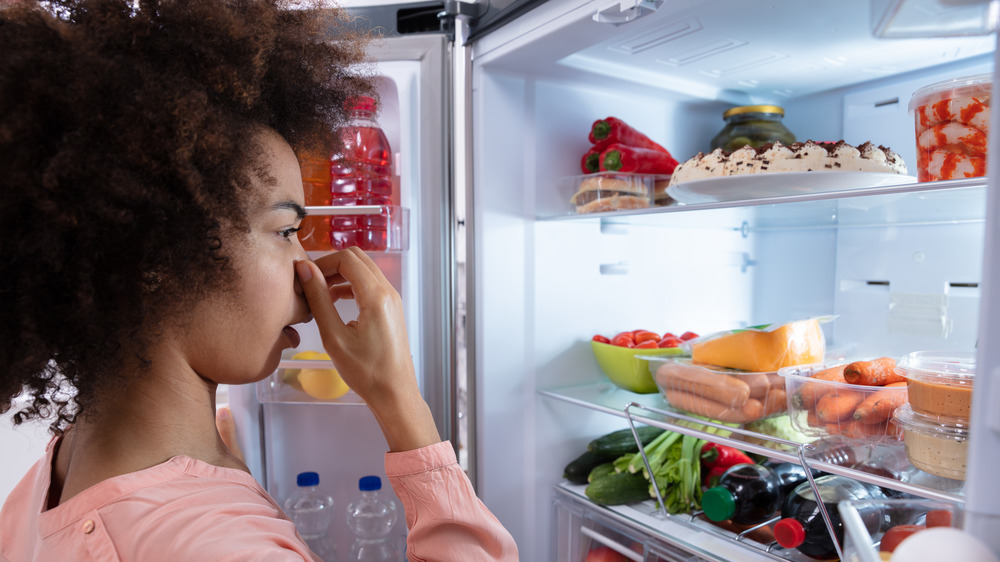 fridge smell