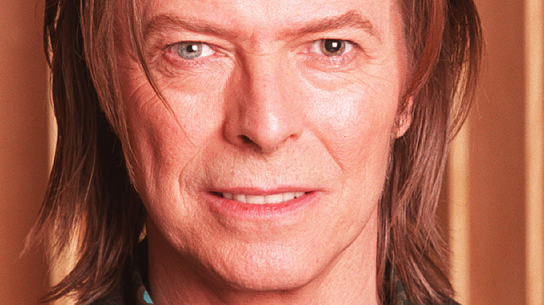 David Bowie in 2001