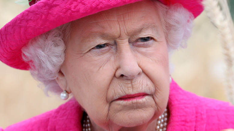 Queen Elizabeth wears a pink suit at an event 