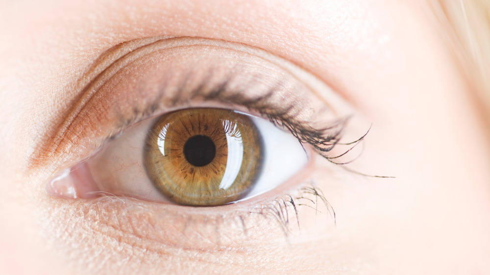 Close up of a hazel eye 