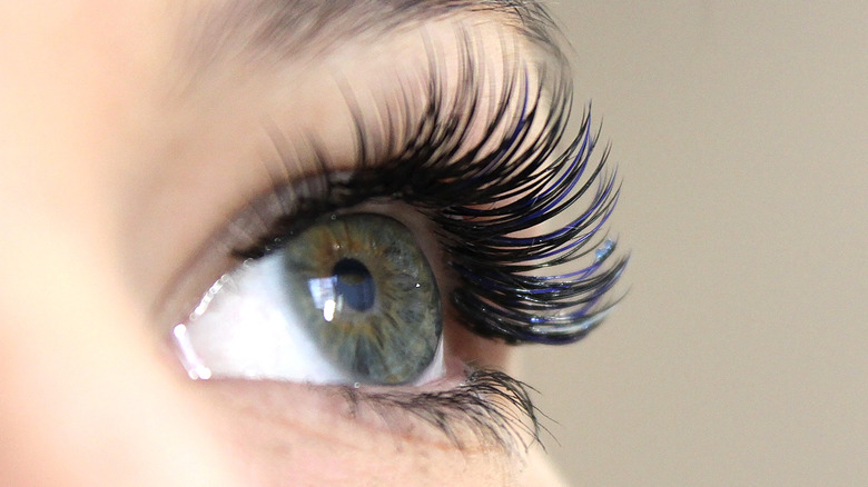 Closeup of eyelashes