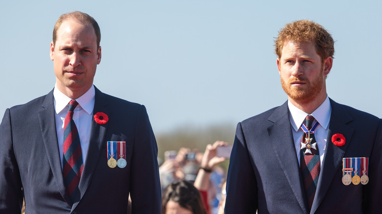 Prince William and Prince Harry standing