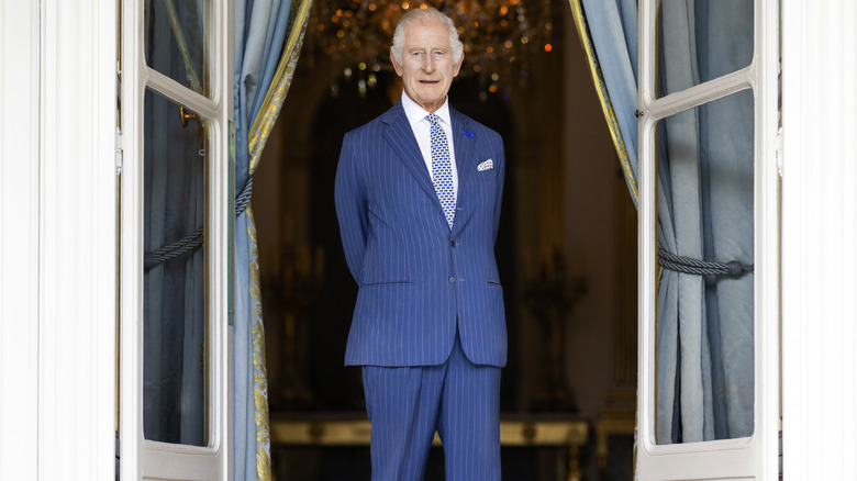 A smiling King Charles proudly posing for the camera in a navy striped suit