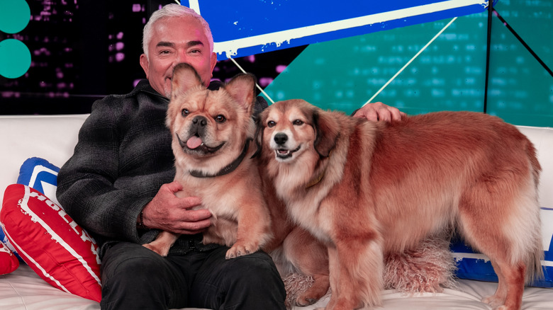 Cesar Millan poses with dogs at the Young Hollywood Studio
