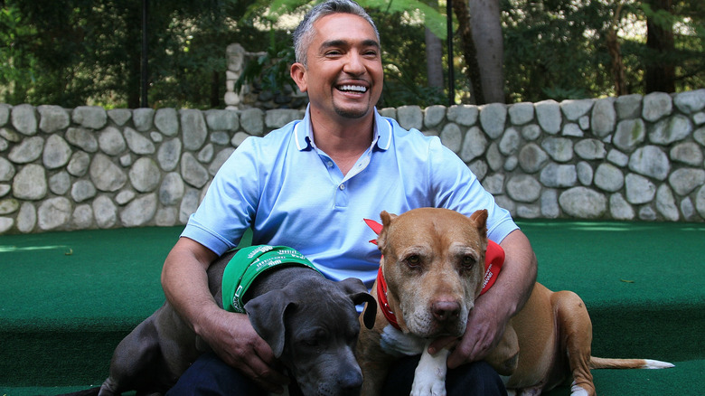 Cesar Millan with his dogs Daddy and Junior