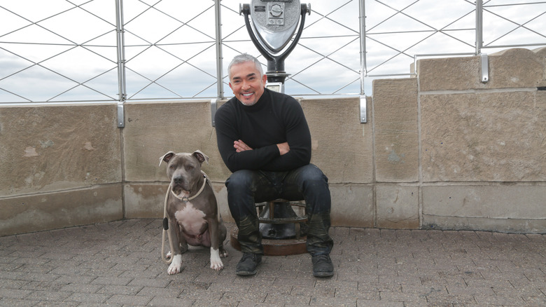 Cesar Millan poses with Junior at the Empire State Building