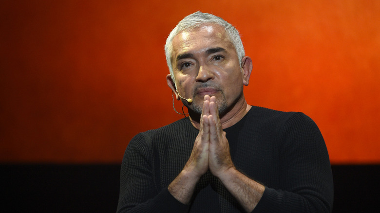 Cesar Millan performing his one-man show "Cesar Millan - My Story Unleashed"