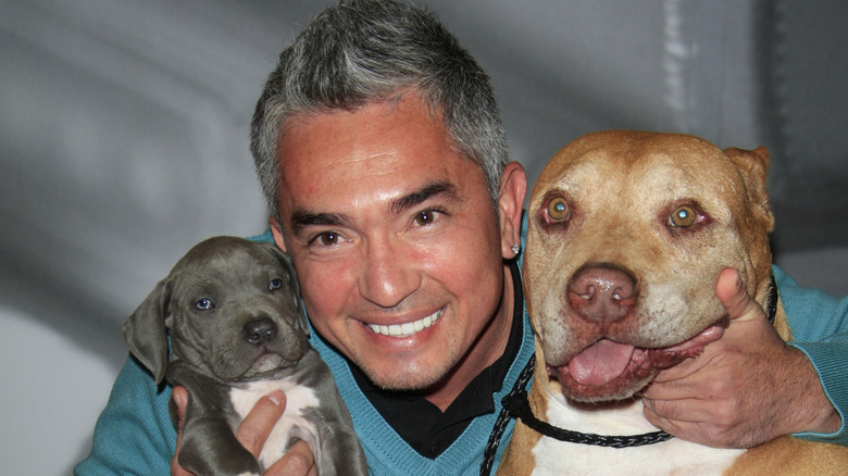 Cesar Millan at a 'Dog Whisperer' signing event in 2007