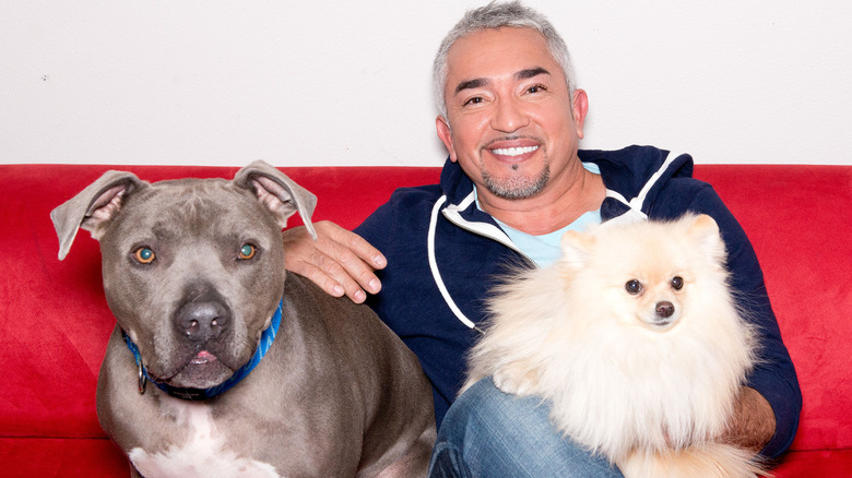 Cesar Millan poses backstage during "Leader of the Pack"