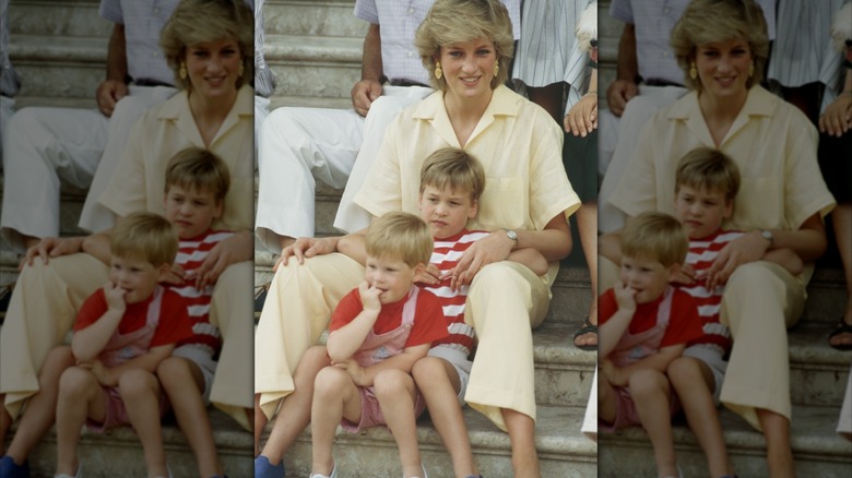 A smiling Princess Diana pictured with a young Prince William and Prince Harry.