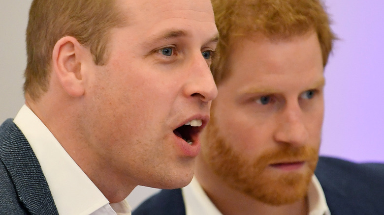 Prince William and Prince Harry