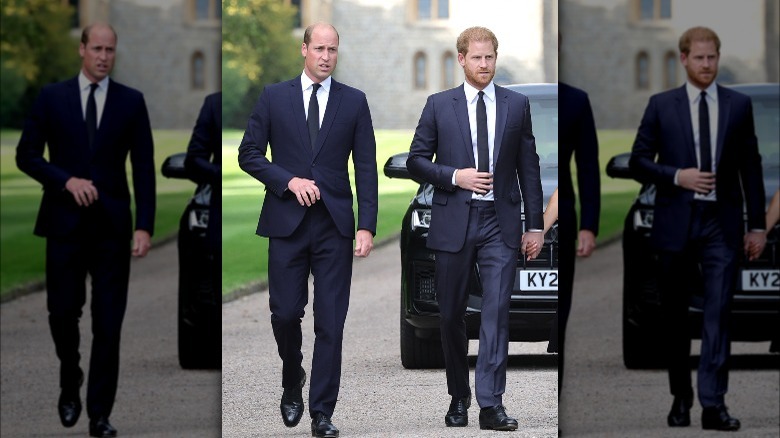 Prince William and Prince Harry