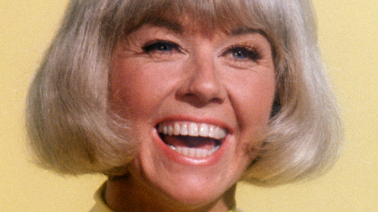 A portrait of Doris Day 