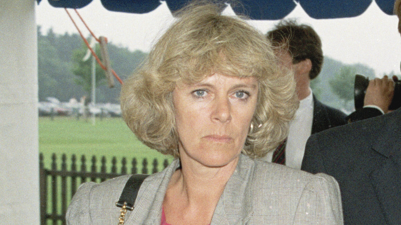 The Stunning Transformation Of Camilla Parker Bowles - The List (2023)