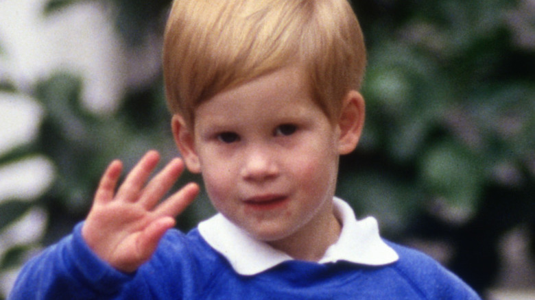 young Prince Harry