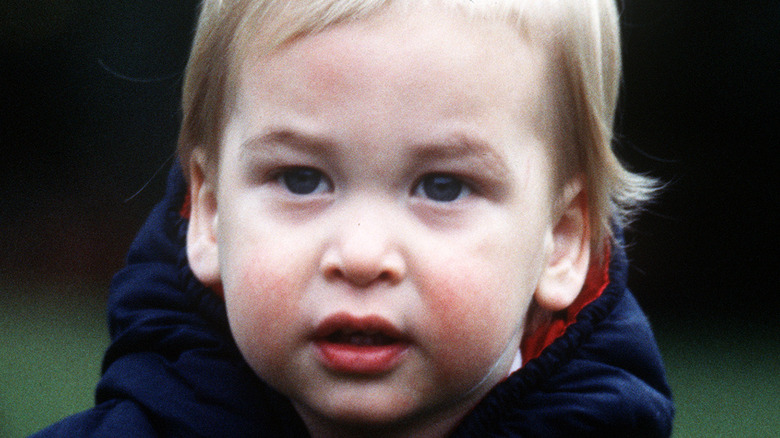 A young Prince William close-up