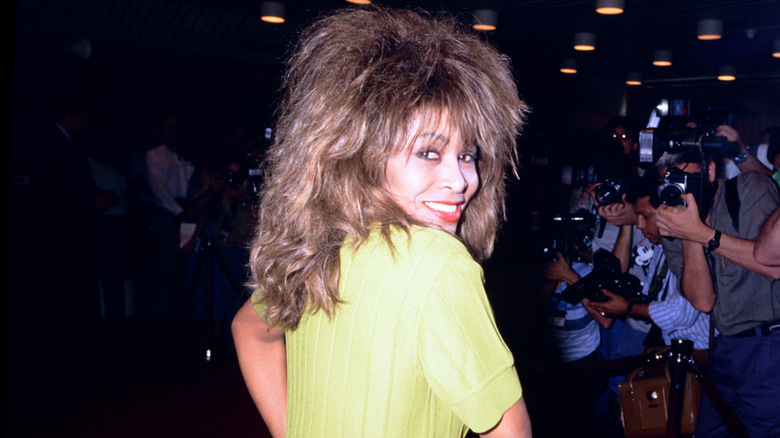 Tina Turner posing for cameras