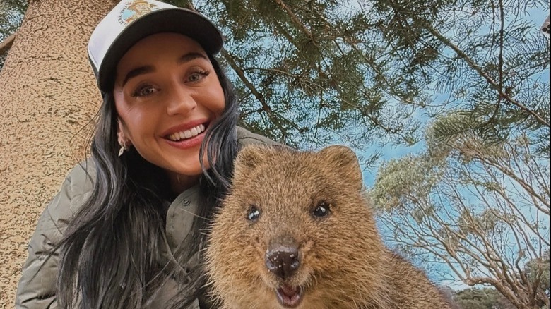 Katy Perry smiles next to a quokka in Rottnest Island, Western Australia (2025)