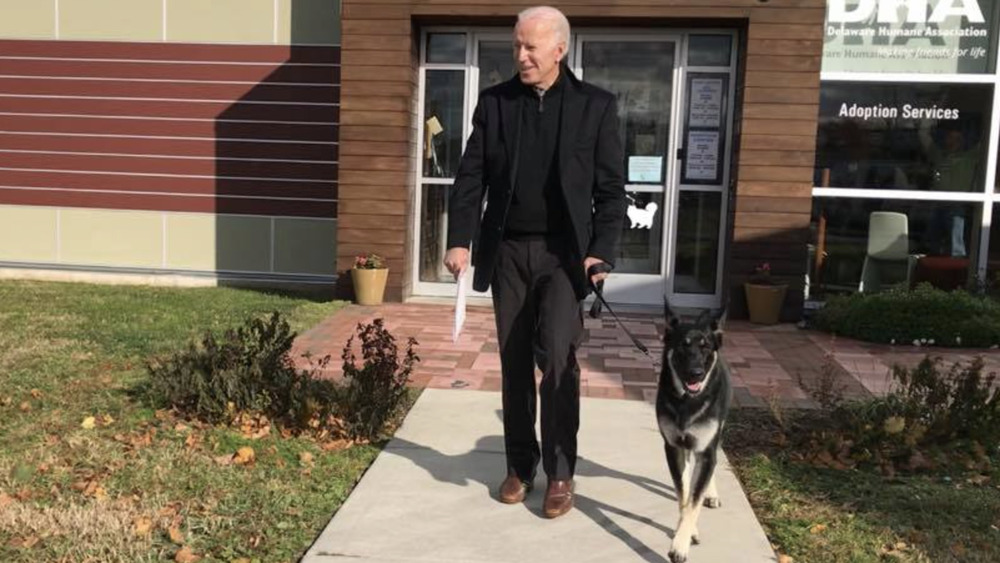 Joe Biden and his rescue dog Major