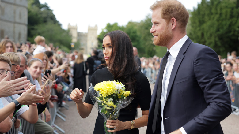 Harry and Meghan at Windsor Castle