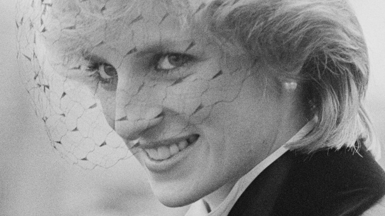 Princess Diana up close 