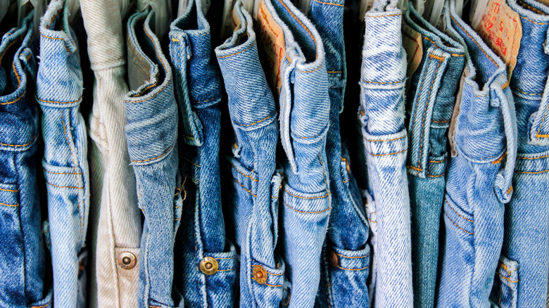 Pairs of jeans all lined up