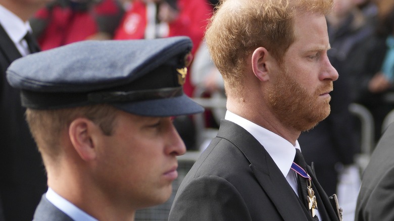 Prince William and Prince Harry looking sullen at the queen's funeral