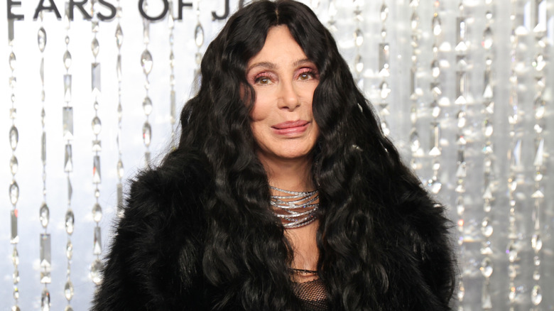 A glammed-up Cher posing at a red carpet event in a black fur