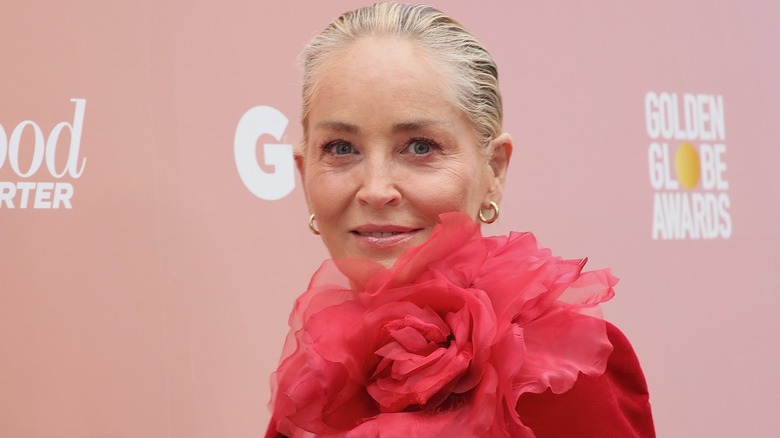 Sharon Stone attending event