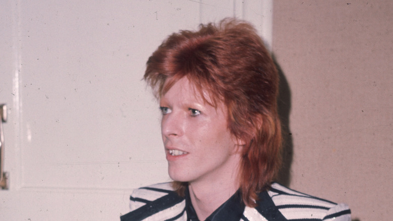 David Bowie