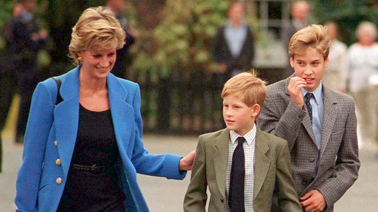 Princess Diana walking with Prince Harry and Prince William