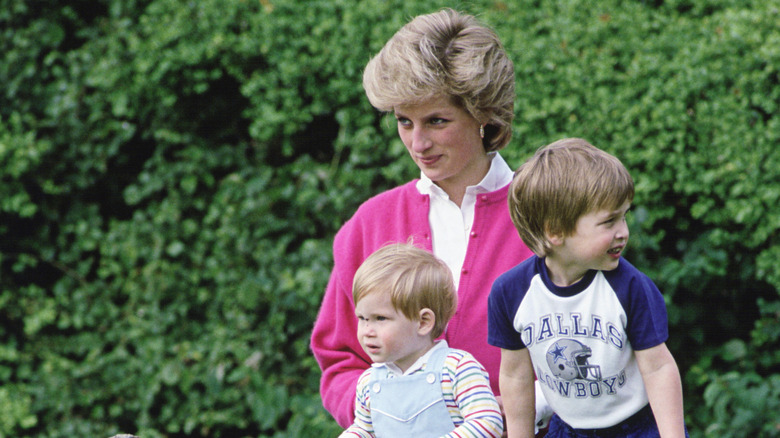 Princess Diana with Prince Harry and Prince William